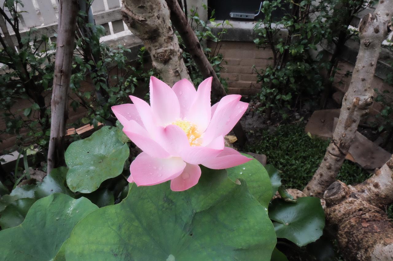 18 In Town Homestay Chiang Mai Zewnętrze zdjęcie
