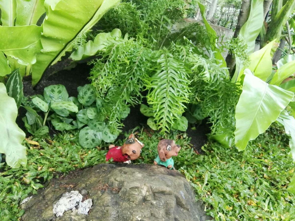 18 In Town Homestay Chiang Mai Zewnętrze zdjęcie